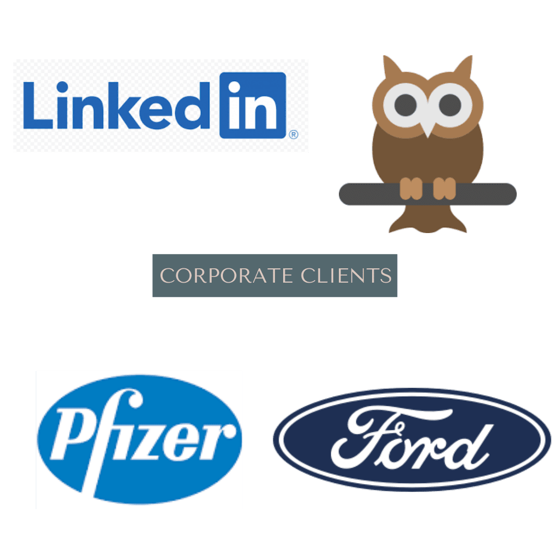 Logos for LinkedIn, Owl Guru, Pfizer, and Ford